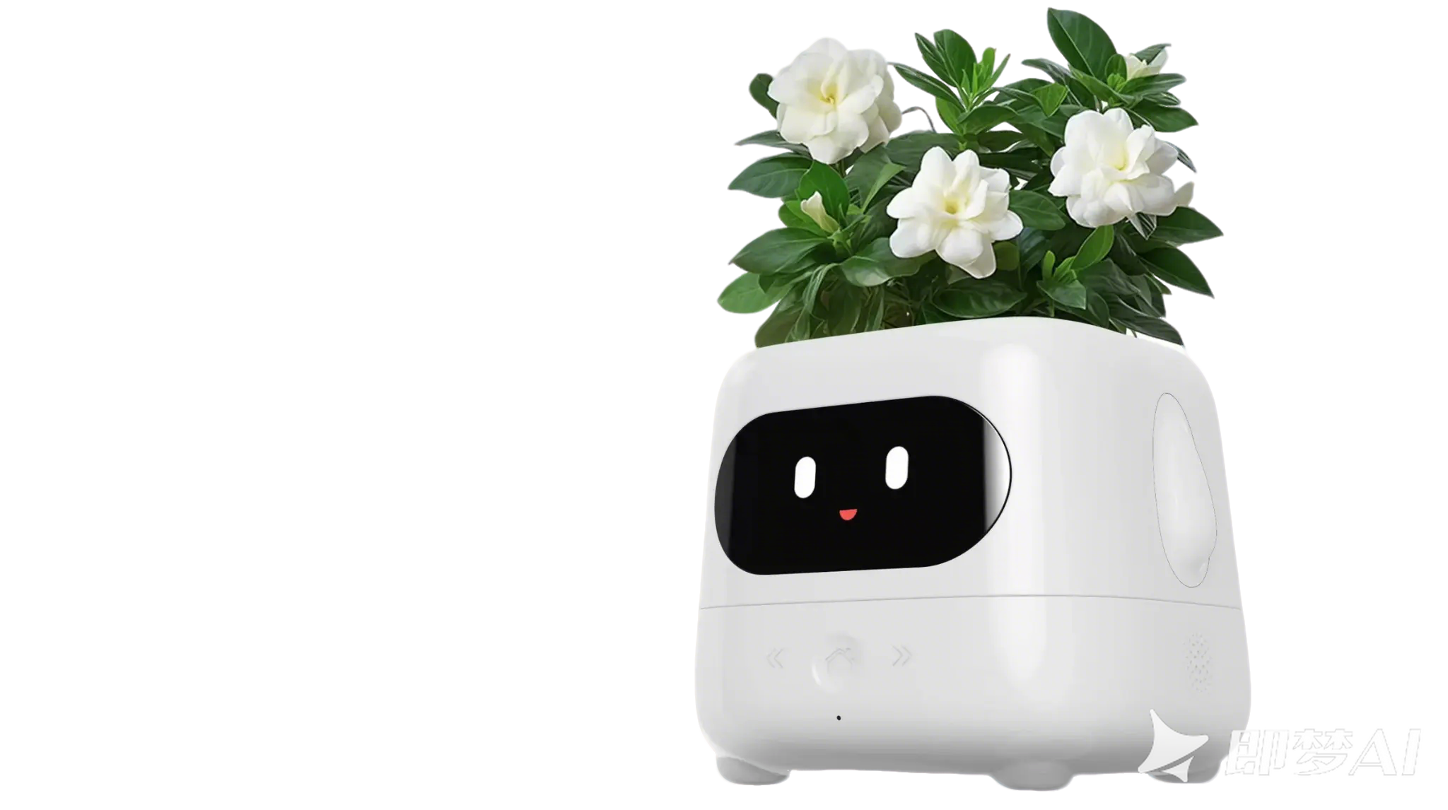 AI 智能花盆